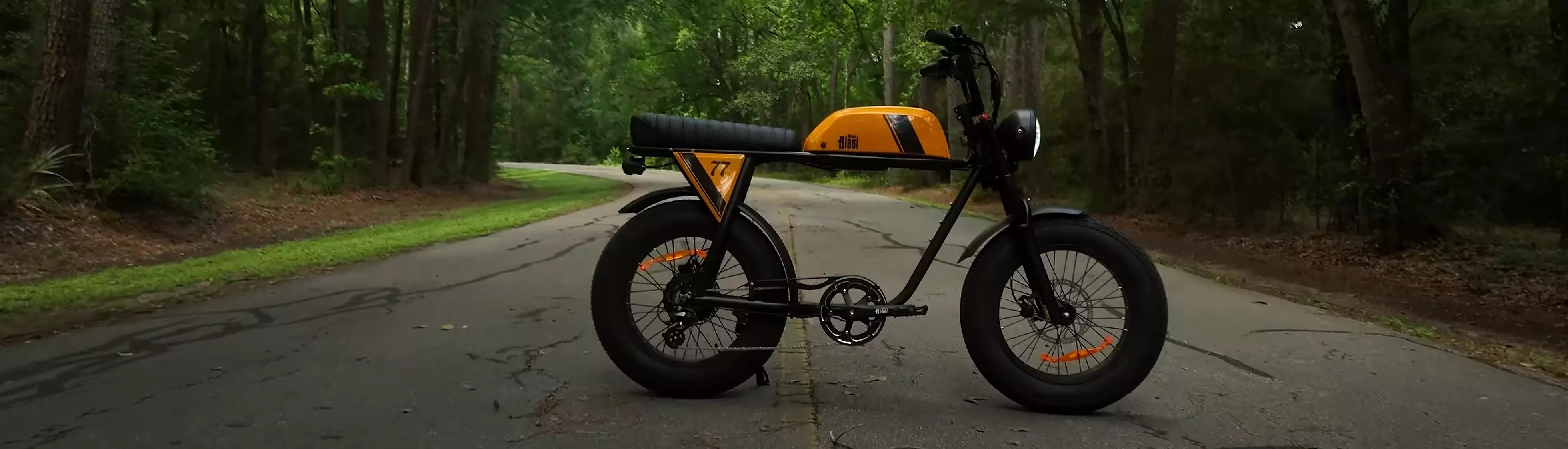 Dual battery on a Michael Blast Outsider eBike